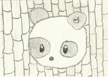 "A Panda's Thought" by Jackson Vorwald, Lancaster WI - Pencil